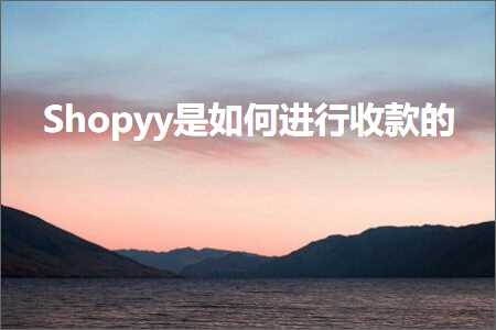 璺ㄥ鐢靛晢鐭ヨ瘑:Shopyy鏄浣曡繘琛屾敹娆剧殑